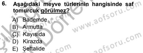 Bahçe Tarımı 1 Dersi 2012 - 2013 Yılı (Vize) Ara Sınav Soruları 6. Soru