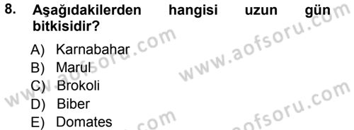 Bahçe Tarımı 1 Dersi 2012 - 2013 Yılı (Vize) Ara Sınav Soruları 8. Soru