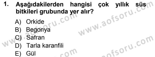 Bahçe Tarımı 1 Dersi 2012 - 2013 Yılı (Final) Dönem Sonu Sınav Soruları 1. Soru