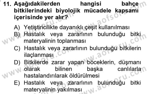 Bahçe Tarımı 1 Dersi 2012 - 2013 Yılı (Final) Dönem Sonu Sınav Soruları 11. Soru
