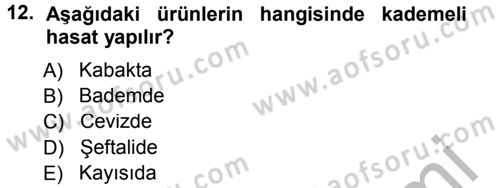 Bahçe Tarımı 1 Dersi 2012 - 2013 Yılı (Final) Dönem Sonu Sınav Soruları 12. Soru