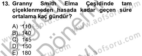 Bahçe Tarımı 1 Dersi 2012 - 2013 Yılı (Final) Dönem Sonu Sınav Soruları 13. Soru