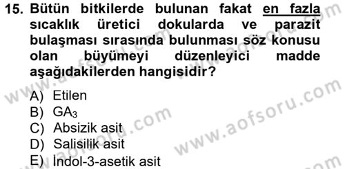 Bahçe Tarımı 1 Dersi 2012 - 2013 Yılı (Final) Dönem Sonu Sınav Soruları 15. Soru