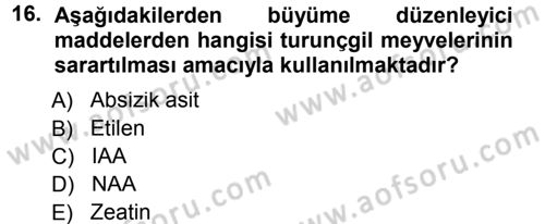 Bahçe Tarımı 1 Dersi 2012 - 2013 Yılı (Final) Dönem Sonu Sınav Soruları 16. Soru