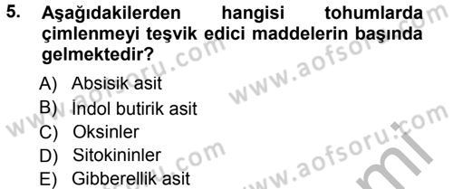 Bahçe Tarımı 1 Dersi 2012 - 2013 Yılı (Final) Dönem Sonu Sınav Soruları 5. Soru