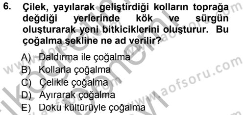 Bahçe Tarımı 1 Dersi 2012 - 2013 Yılı (Final) Dönem Sonu Sınav Soruları 6. Soru