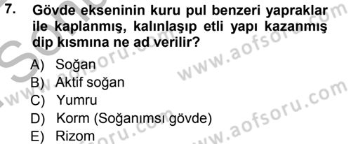Bahçe Tarımı 1 Dersi 2012 - 2013 Yılı (Final) Dönem Sonu Sınav Soruları 7. Soru