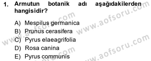 Bahçe Tarımı 1 Dersi 2013 - 2014 Yılı (Vize) Ara Sınav Soruları 1. Soru