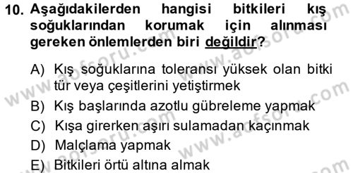 Bahçe Tarımı 1 Dersi 2013 - 2014 Yılı (Vize) Ara Sınav Soruları 10. Soru