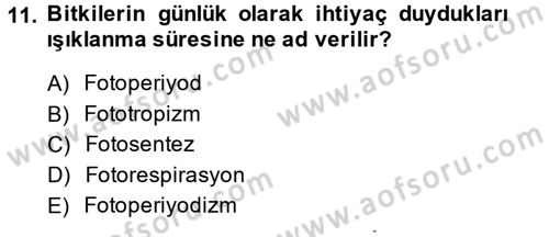 Bahçe Tarımı 1 Dersi 2013 - 2014 Yılı (Vize) Ara Sınav Soruları 11. Soru