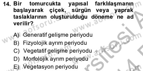 Bahçe Tarımı 1 Dersi 2013 - 2014 Yılı (Vize) Ara Sınav Soruları 14. Soru