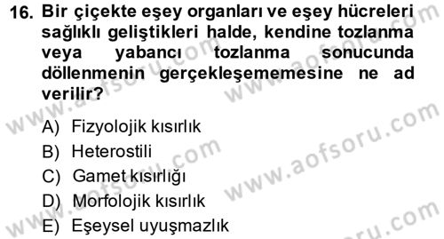 Bahçe Tarımı 1 Dersi 2013 - 2014 Yılı (Vize) Ara Sınav Soruları 16. Soru