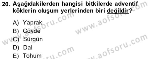 Bahçe Tarımı 1 Dersi 2013 - 2014 Yılı (Vize) Ara Sınav Soruları 20. Soru