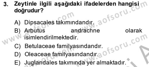 Bahçe Tarımı 1 Dersi 2013 - 2014 Yılı (Vize) Ara Sınav Soruları 3. Soru
