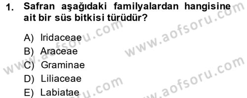 Bahçe Tarımı 1 Dersi 2013 - 2014 Yılı (Final) Dönem Sonu Sınav Soruları 1. Soru