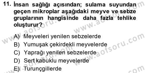Bahçe Tarımı 1 Dersi 2013 - 2014 Yılı (Final) Dönem Sonu Sınav Soruları 11. Soru