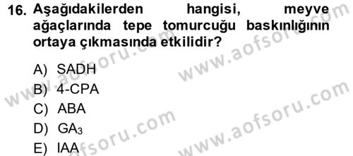 Bahçe Tarımı 1 Dersi 2013 - 2014 Yılı (Final) Dönem Sonu Sınav Soruları 16. Soru