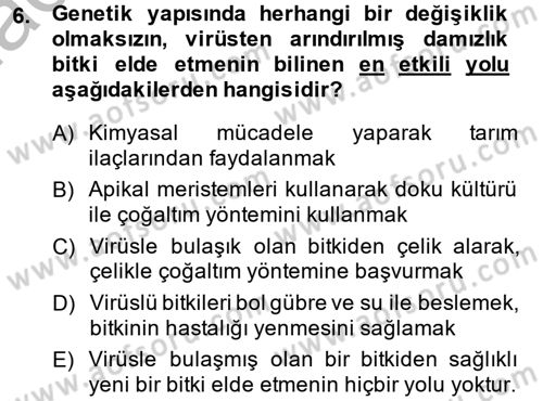 Bahçe Tarımı 1 Dersi 2013 - 2014 Yılı (Final) Dönem Sonu Sınav Soruları 6. Soru