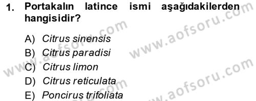 Bahçe Tarımı 1 Dersi 2014 - 2015 Yılı (Vize) Ara Sınav Soruları 1. Soru