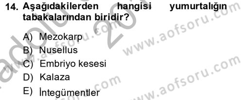 Bahçe Tarımı 1 Dersi 2014 - 2015 Yılı (Vize) Ara Sınav Soruları 14. Soru