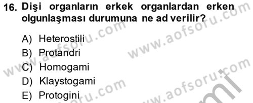 Bahçe Tarımı 1 Dersi 2014 - 2015 Yılı (Vize) Ara Sınav Soruları 16. Soru