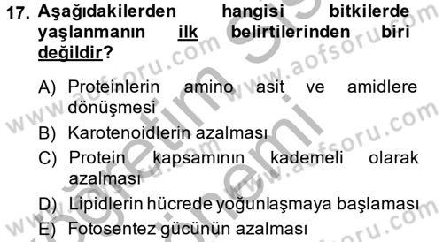 Bahçe Tarımı 1 Dersi 2014 - 2015 Yılı (Vize) Ara Sınav Soruları 17. Soru