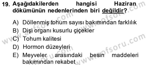 Bahçe Tarımı 1 Dersi 2014 - 2015 Yılı (Vize) Ara Sınav Soruları 19. Soru