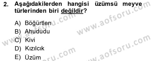 Bahçe Tarımı 1 Dersi 2014 - 2015 Yılı (Vize) Ara Sınav Soruları 2. Soru