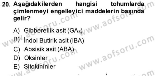 Bahçe Tarımı 1 Dersi 2014 - 2015 Yılı (Vize) Ara Sınav Soruları 20. Soru
