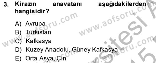 Bahçe Tarımı 1 Dersi 2014 - 2015 Yılı (Vize) Ara Sınav Soruları 3. Soru