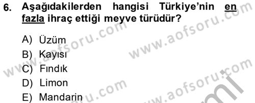 Bahçe Tarımı 1 Dersi 2014 - 2015 Yılı (Vize) Ara Sınav Soruları 6. Soru