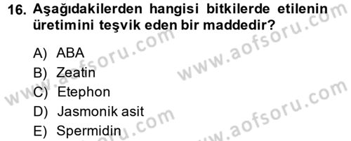 Bahçe Tarımı 1 Dersi 2014 - 2015 Yılı (Final) Dönem Sonu Sınav Soruları 16. Soru