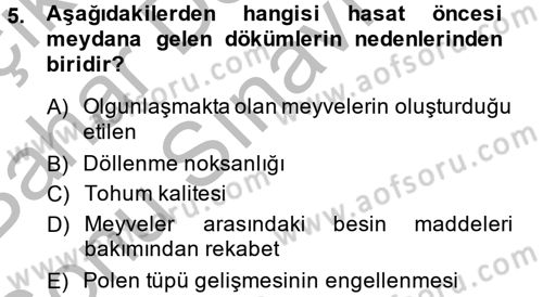 Bahçe Tarımı 1 Dersi 2014 - 2015 Yılı (Final) Dönem Sonu Sınav Soruları 5. Soru