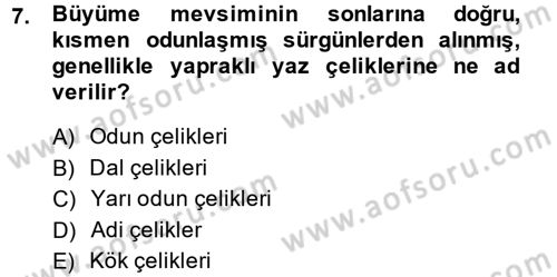 Bahçe Tarımı 1 Dersi 2014 - 2015 Yılı (Final) Dönem Sonu Sınav Soruları 7. Soru