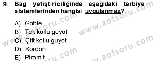 Bahçe Tarımı 1 Dersi 2014 - 2015 Yılı (Final) Dönem Sonu Sınav Soruları 9. Soru