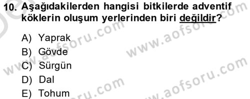 Bahçe Tarımı 1 Dersi 2014 - 2015 Yılı Tek Ders Sınav Soruları 10. Soru