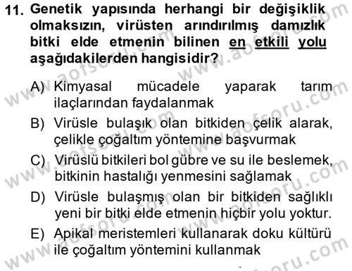 Bahçe Tarımı 1 Dersi 2014 - 2015 Yılı Tek Ders Sınav Soruları 11. Soru