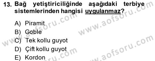 Bahçe Tarımı 1 Dersi 2014 - 2015 Yılı Tek Ders Sınav Soruları 13. Soru