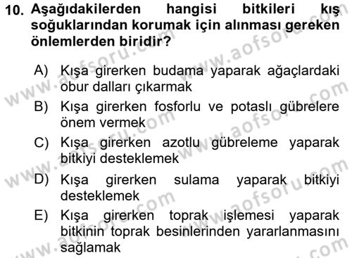 Bahçe Tarımı 1 Dersi 2015 - 2016 Yılı (Vize) Ara Sınavı 10. Soru
