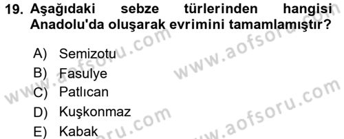 Bahçe Tarımı 1 Dersi 2015 - 2016 Yılı (Vize) Ara Sınav Soruları 19. Soru