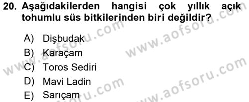 Bahçe Tarımı 1 Dersi 2015 - 2016 Yılı (Vize) Ara Sınav Soruları 20. Soru
