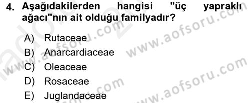 Bahçe Tarımı 1 Dersi 2015 - 2016 Yılı (Vize) Ara Sınav Soruları 4. Soru