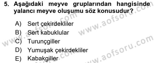 Bahçe Tarımı 1 Dersi 2015 - 2016 Yılı (Vize) Ara Sınav Soruları 5. Soru