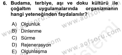 Bahçe Tarımı 1 Dersi 2015 - 2016 Yılı (Vize) Ara Sınav Soruları 6. Soru