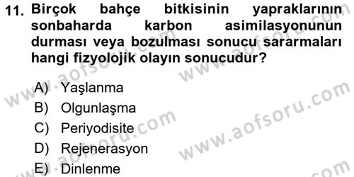 Bahçe Tarımı 1 Dersi 2015 - 2016 Yılı (Final) Dönem Sonu Sınav Soruları 11. Soru