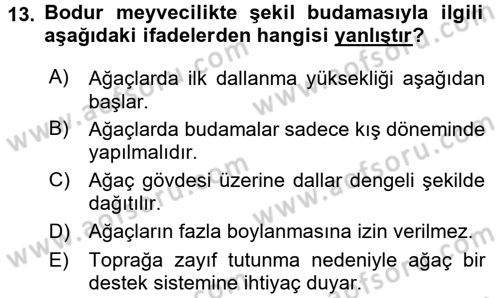 Bahçe Tarımı 1 Dersi 2015 - 2016 Yılı (Final) Dönem Sonu Sınav Soruları 13. Soru