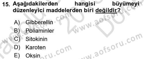 Bahçe Tarımı 1 Dersi 2015 - 2016 Yılı (Final) Dönem Sonu Sınav Soruları 15. Soru