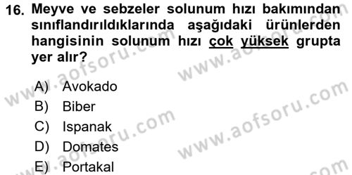 Bahçe Tarımı 1 Dersi 2015 - 2016 Yılı (Final) Dönem Sonu Sınav Soruları 16. Soru