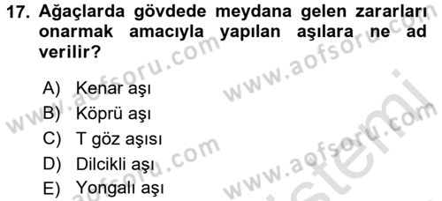 Bahçe Tarımı 1 Dersi 2015 - 2016 Yılı (Final) Dönem Sonu Sınav Soruları 17. Soru