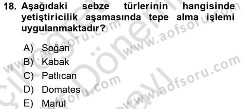 Bahçe Tarımı 1 Dersi 2015 - 2016 Yılı (Final) Dönem Sonu Sınav Soruları 18. Soru